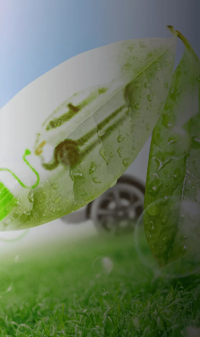 开放生态
